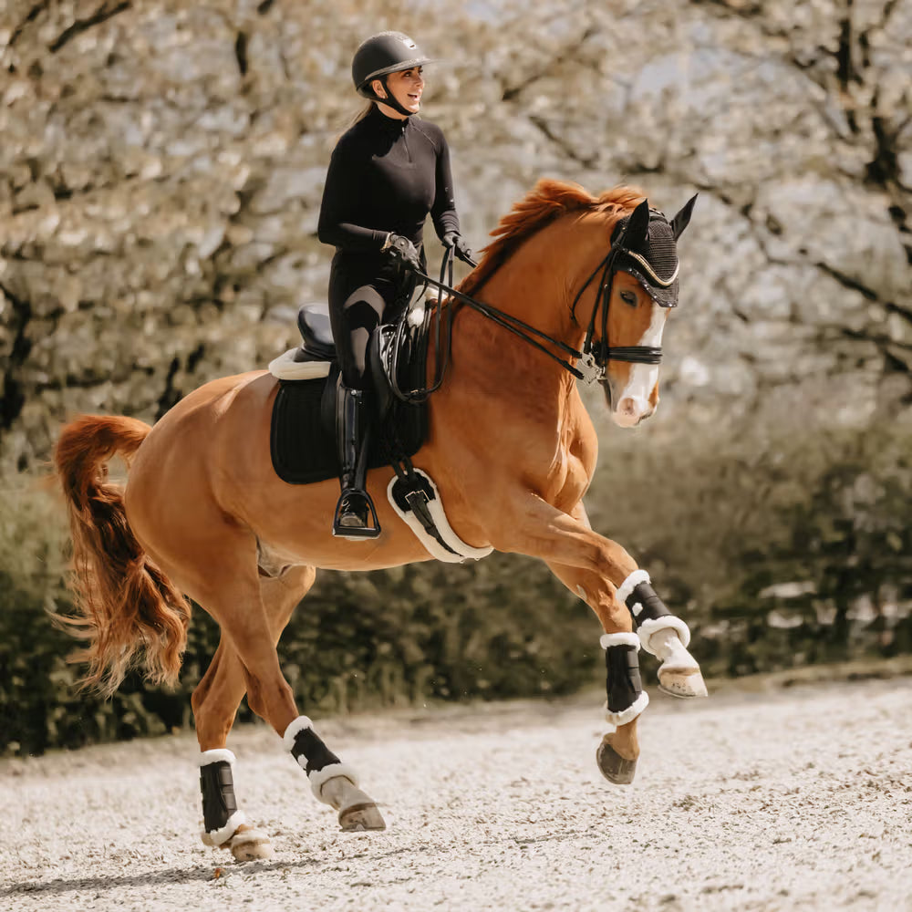 Person riding a brown horse on a gravel path with trees in the background