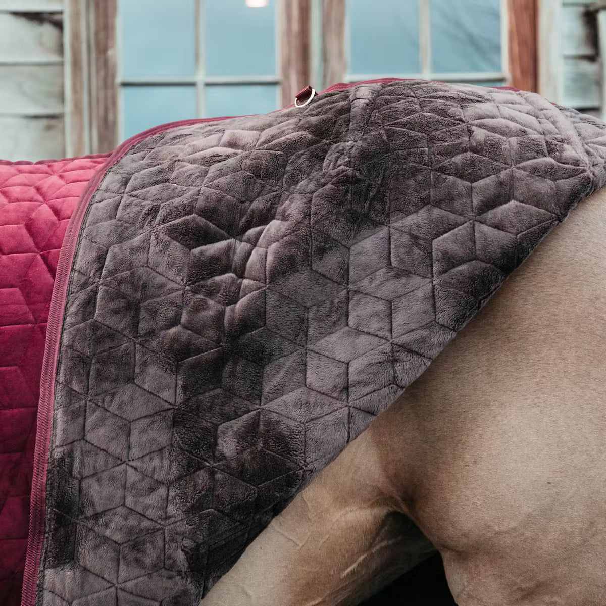 Gray quilted blanket on a horse with a blurred indoor background