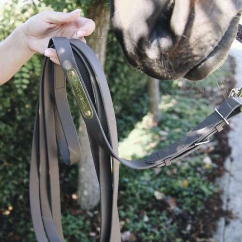 Boomerang Equestrian - Kentucky Stallion Lead