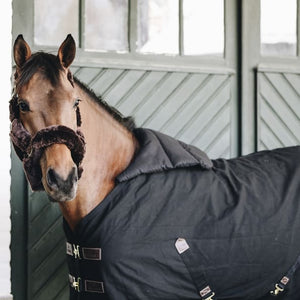 Boomerang Equestrian - Kentucky Summer Horse Bib Black