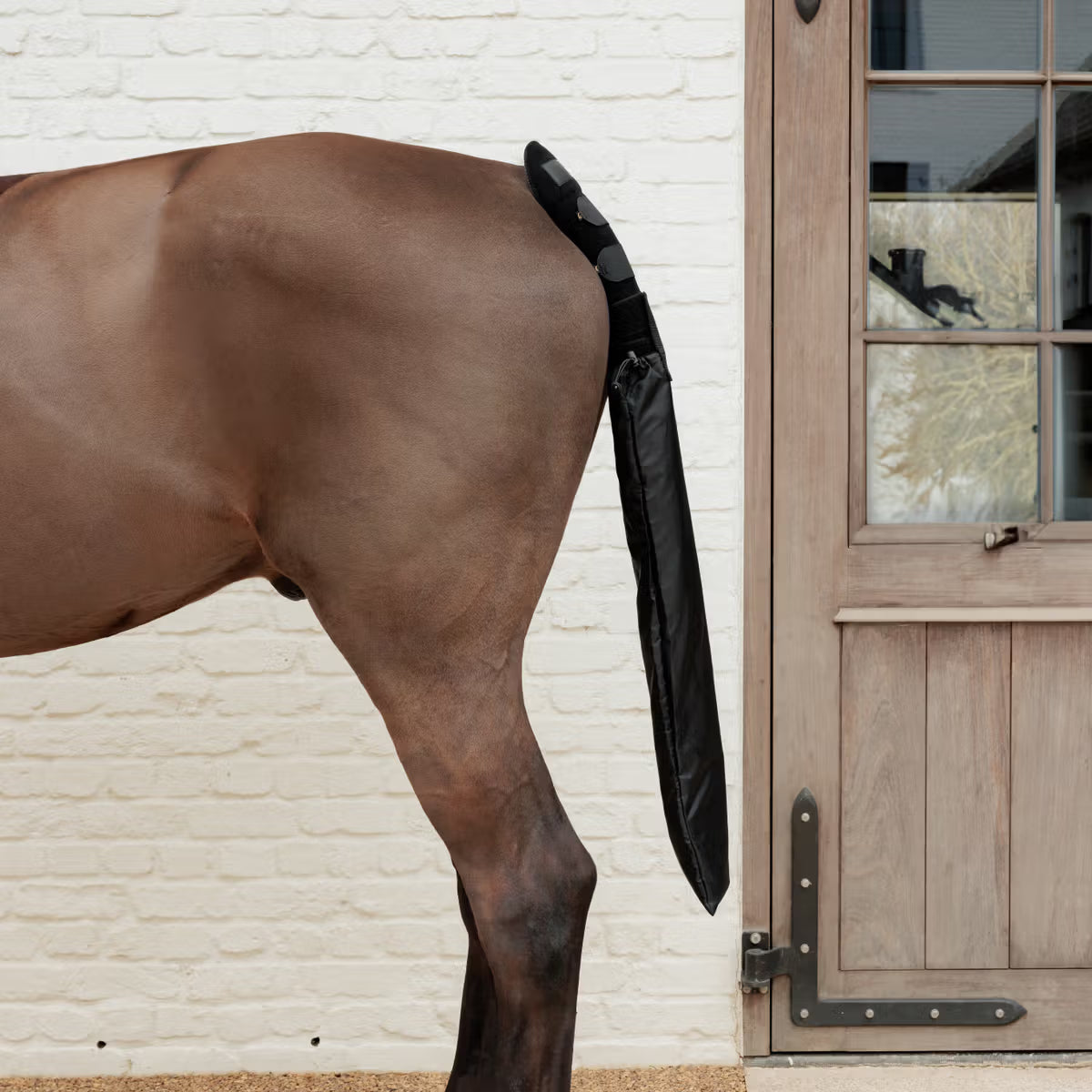Horse with a black tail wrap standing next to a wooden door.
