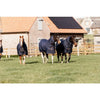 Kentucky Turnout Rug Quick Dry Fleece With Neck 150 g Navy - Horse Rug