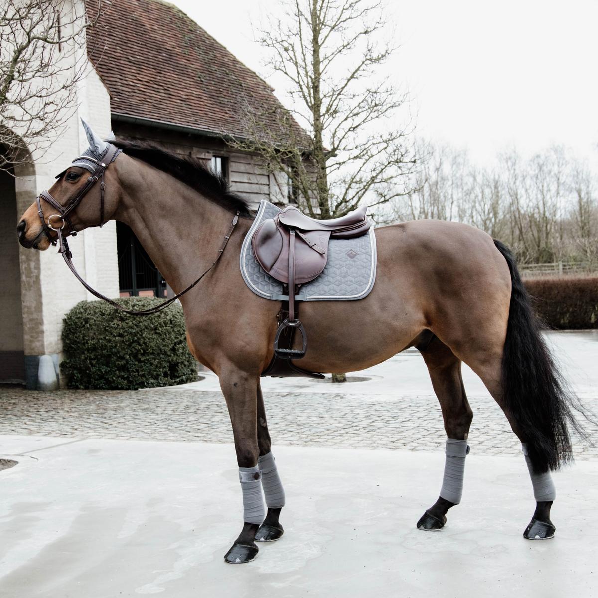 Horse with a saddle and bridle standing on a snowy ground in front of a building.