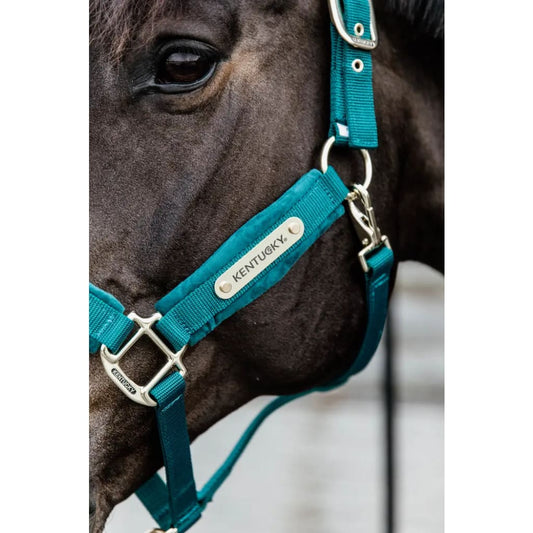 Boomerang Equestrian - Kentucky Velvet Halter Emerald