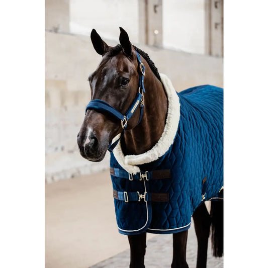 Boomerang Equestrian - Kentucky Velvet Halter Navy