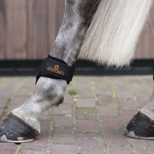 Kentucky Young Horse Fetlock Boots Black - FULL - Fetlock Boot