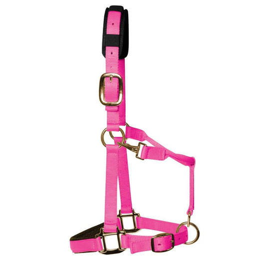 Boomerang Equestrian - KM Elite Headcollar