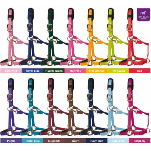 A catalog display of horse halter neckties shown in multiple colors, arranged in two rows on a white background with color labels underneath each style.