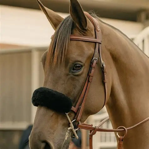 A close-up of a brown horse wearing a tan leather bridle with a black fuzzy noseband, set against a softly blurred stable background.