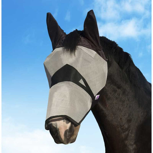 Horse wearing a fly mask against a blue sky