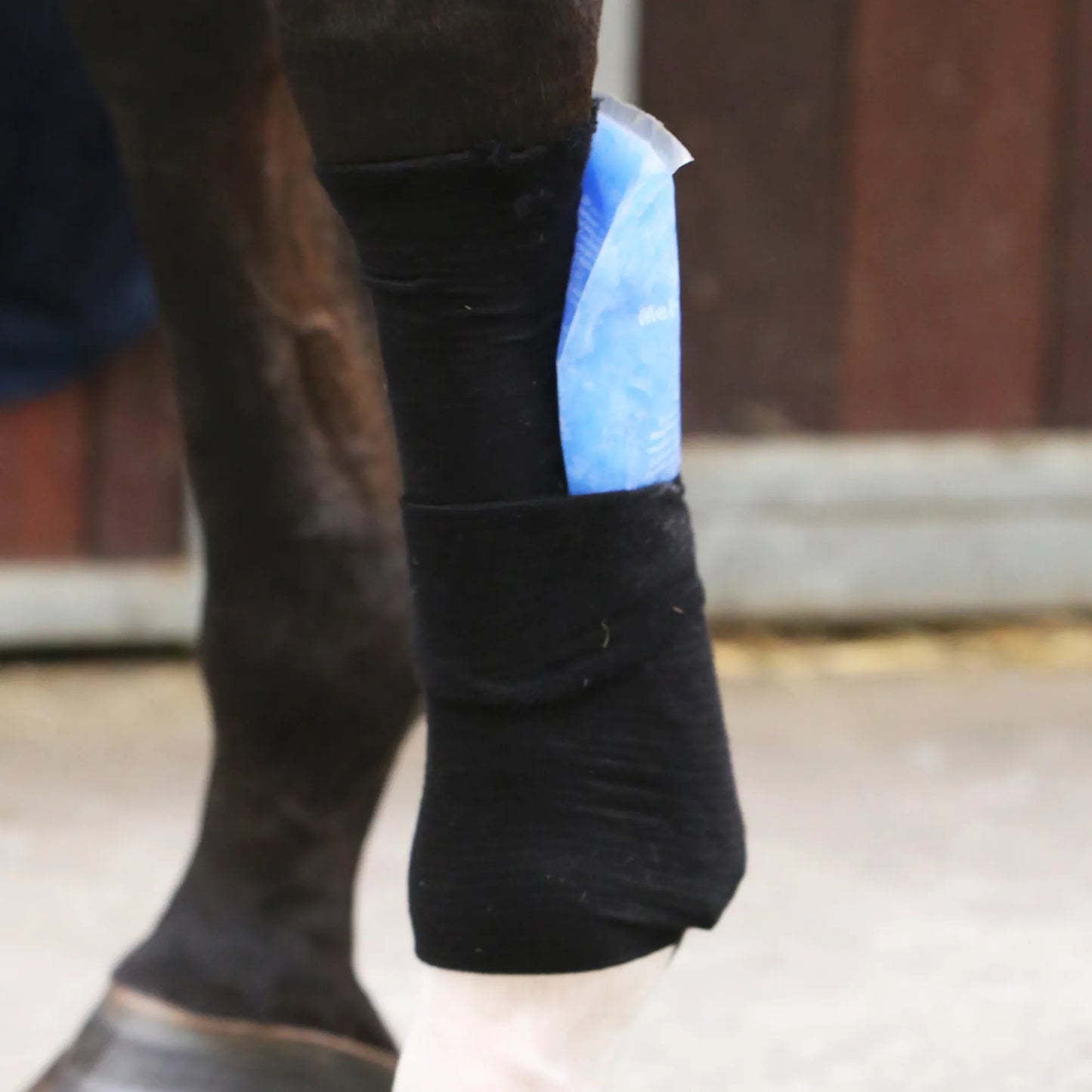 Boomerang Equestrian - Kentucky Tendon Grip Sock