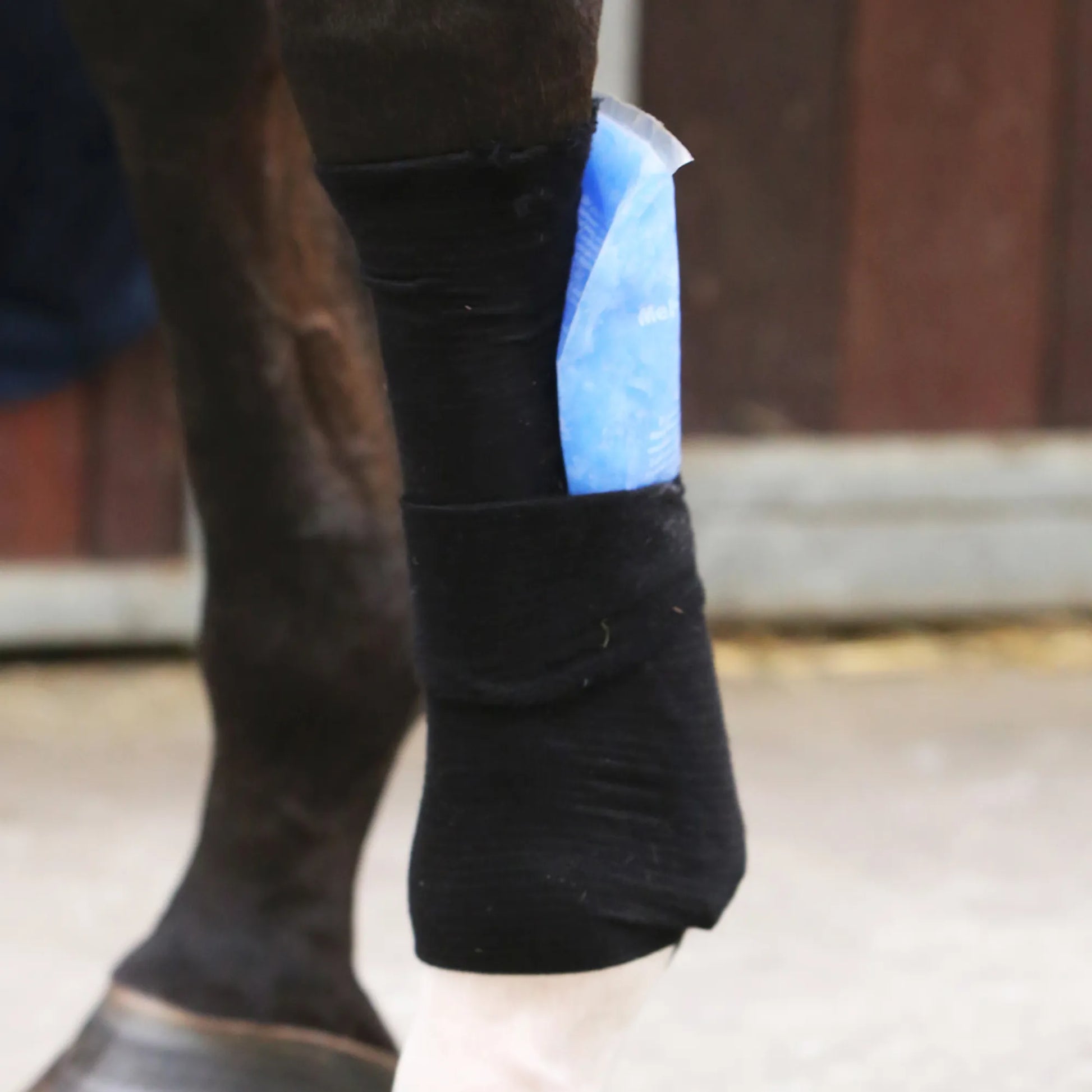 Boomerang Equestrian - Kentucky Tendon Grip Sock