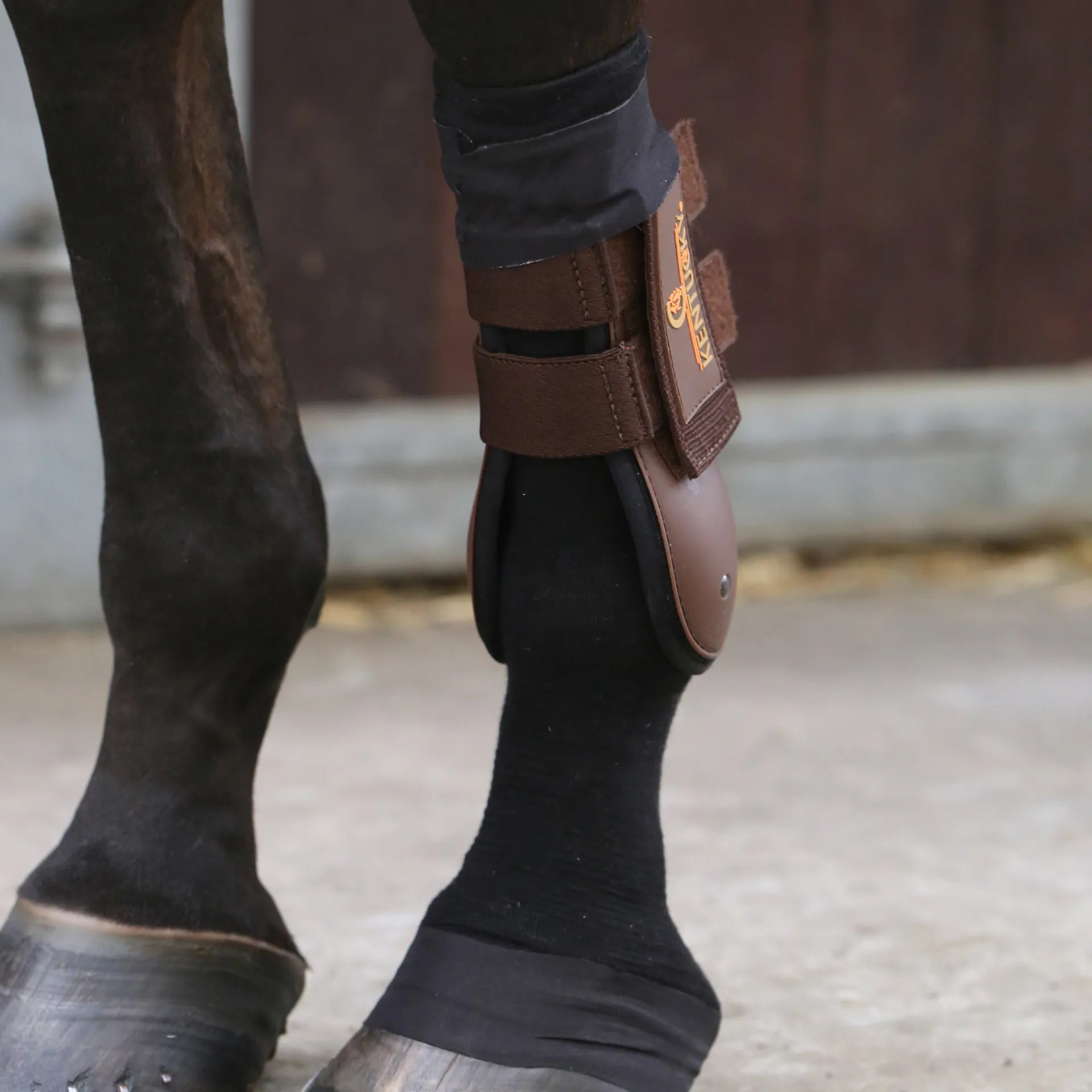 Boomerang Equestrian - Kentucky Tendon Grip Sock