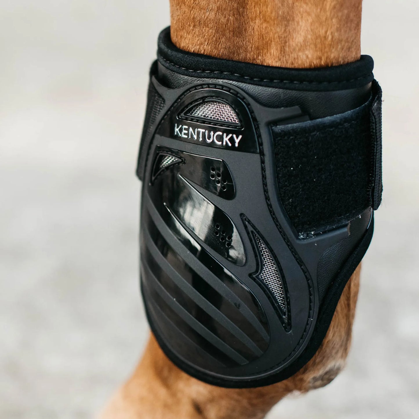 Kentucky Young Horse Fetlock Boots New Black