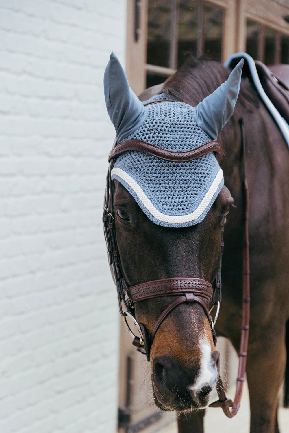 Horse wearing a blue fly mask with a white border, standing against a light gray wall.
