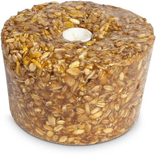 Round container filled with seeds on a white background