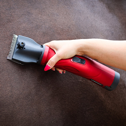 Liveryman clippers on a horse's neck