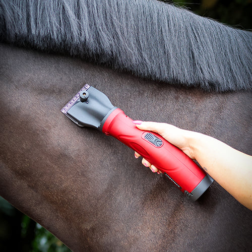 Liveryman clippers on a horse's neck