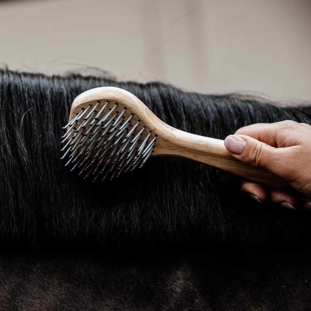 Person grooming a horse with a wooden brush