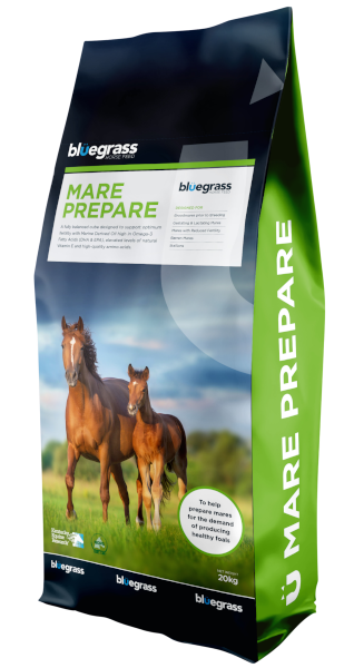 Bag of Bluegrass Mare Prepare on a white background