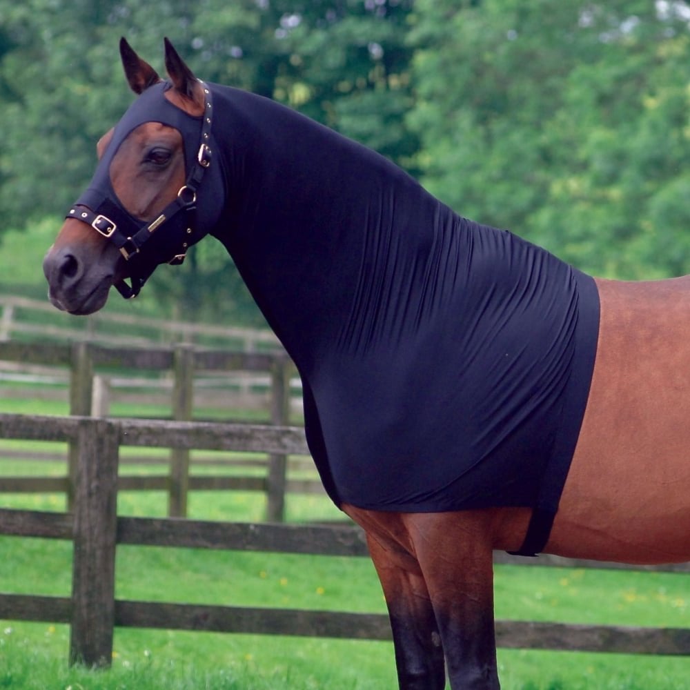 Horse standing in a field with a black head & neck cover 