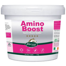  Mervue Amino-Boost Powder - NONE / 3KG - Supplement