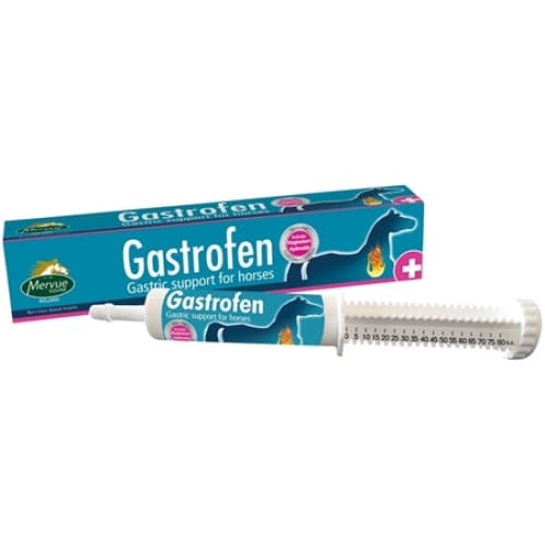 Boomerang Equestrian - Mervue Gastrofen Syringe