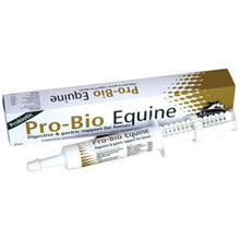  Mervue Pro-Bio Equine Syringe - NONE / 30ML - Supplement