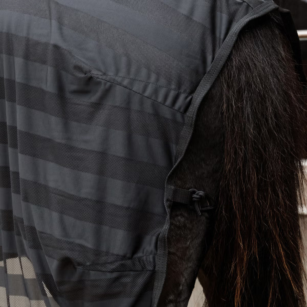 Horse wearing a dark gray striped blanket with a blurred background