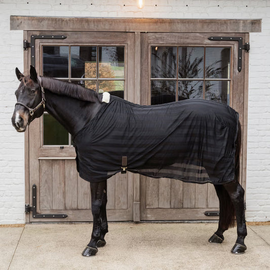 Horse wearing a black rug standing in front of wooden doors.