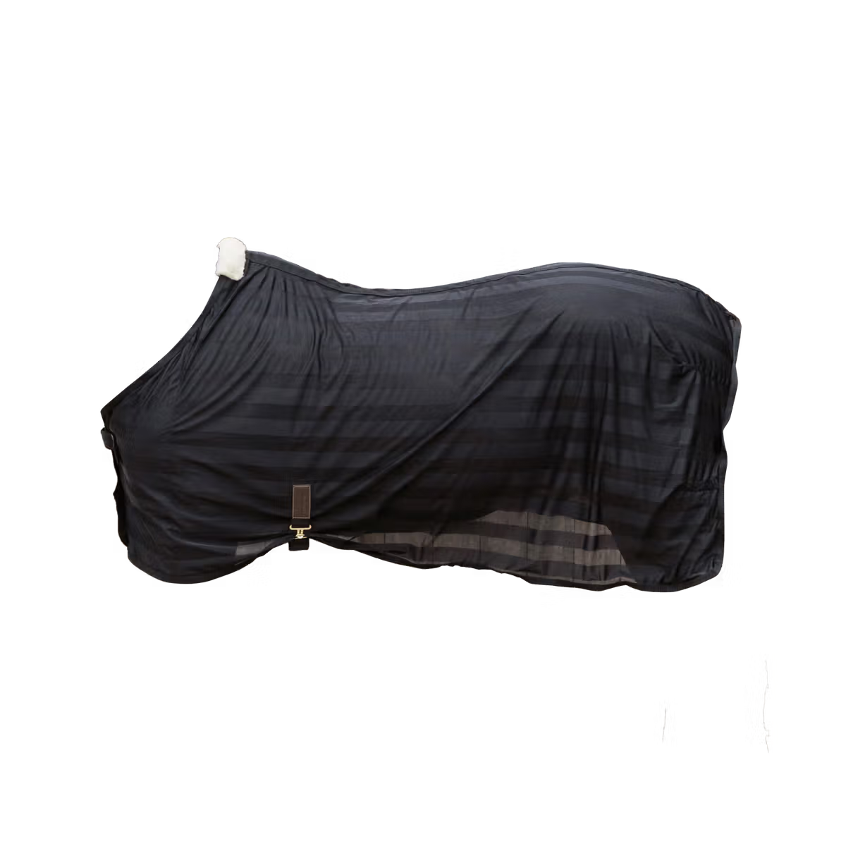Black horse blanket on a transparent background