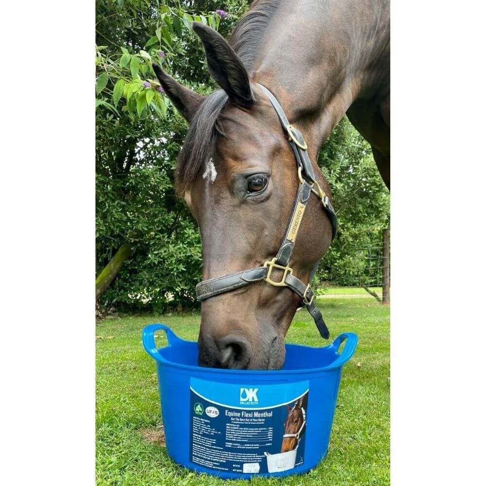 Equine Flexi Menthol Mineral Lick