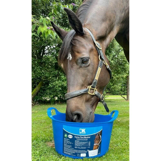 Equine Flexi Menthol Mineral Lick