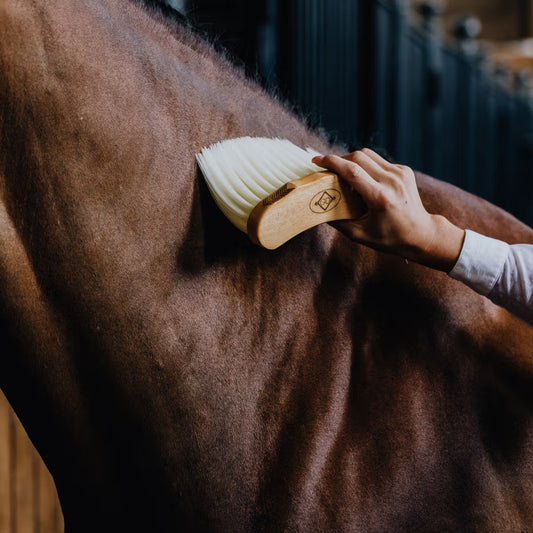 Person grooming a horse with a brush on a blurred background