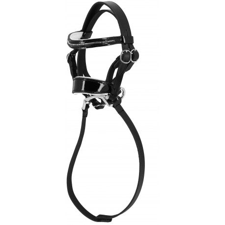 Black leather bridle on a white background