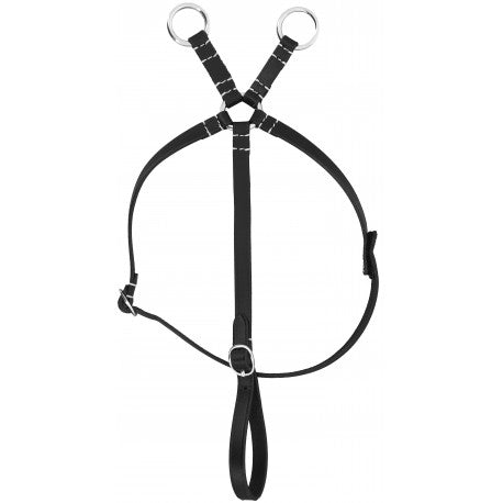 Black horse martingale on a white background