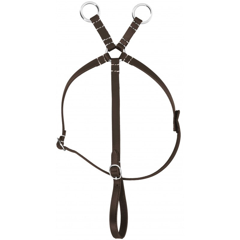 Brown horse martingale on a white background