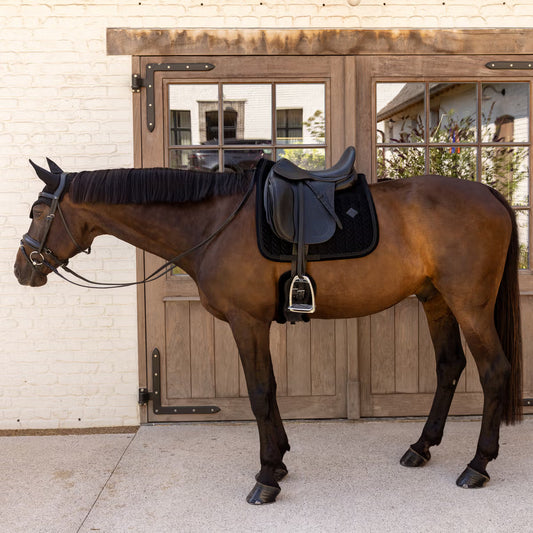 Brown horse with a black saddle and bridle standing in front of a wooden stable door.