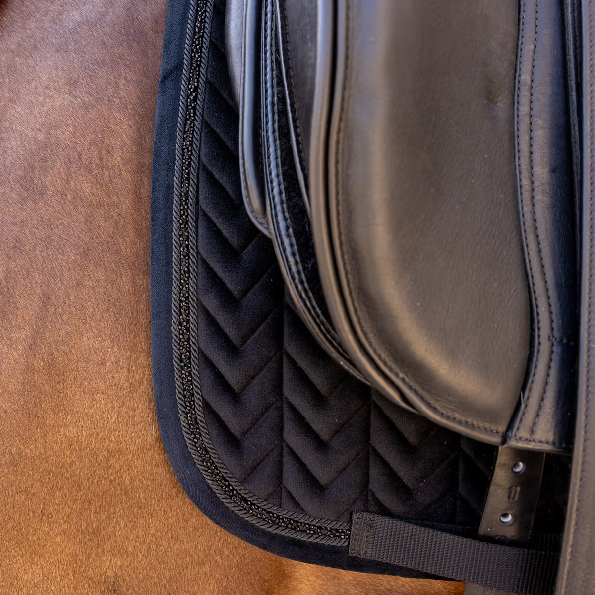 Detail of a pearl black saddle pad under a black saddle