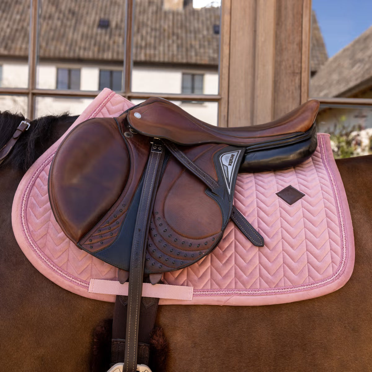 Pink saddle pad under a brown saddle on a bay horse in a sunny outside barn setting
