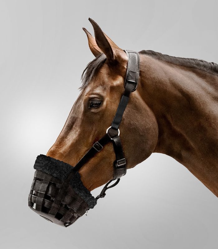 Horse wearing a muzzle on a gray background