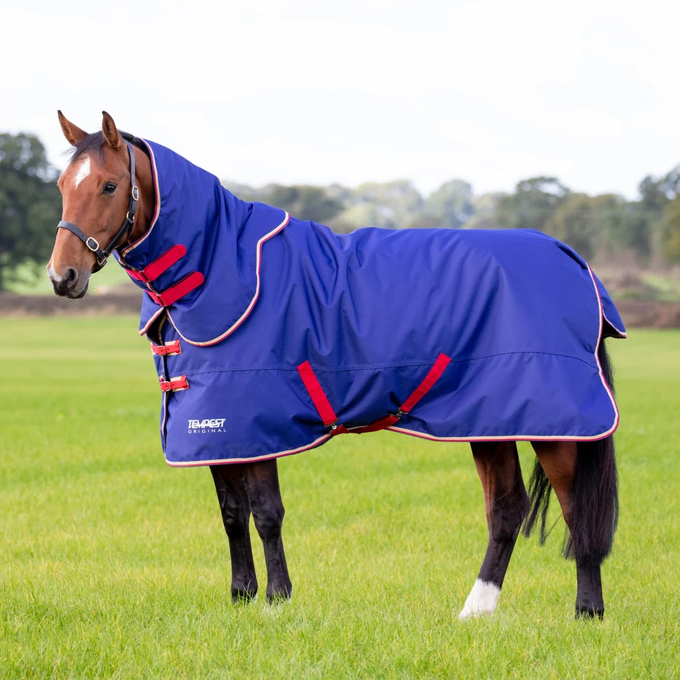 A horse standing in a grassy field wearing a blue horse rug with red straps and trim. The brand name 'TEMPEST' is visible on the lower left of the rug.