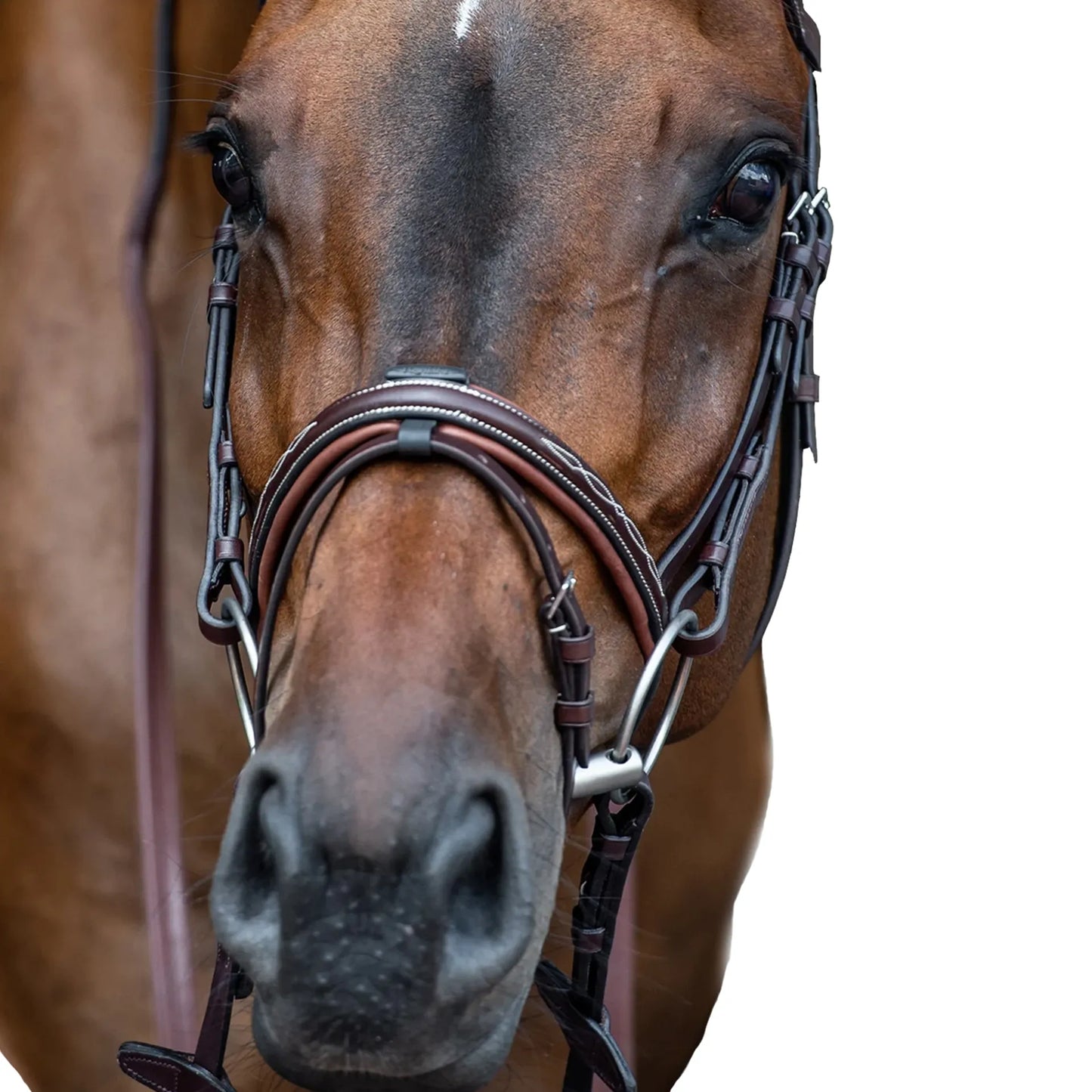 Boomerang Equestrian - Equiline Convex Noseband With Fancy Stitching Brown NB0449