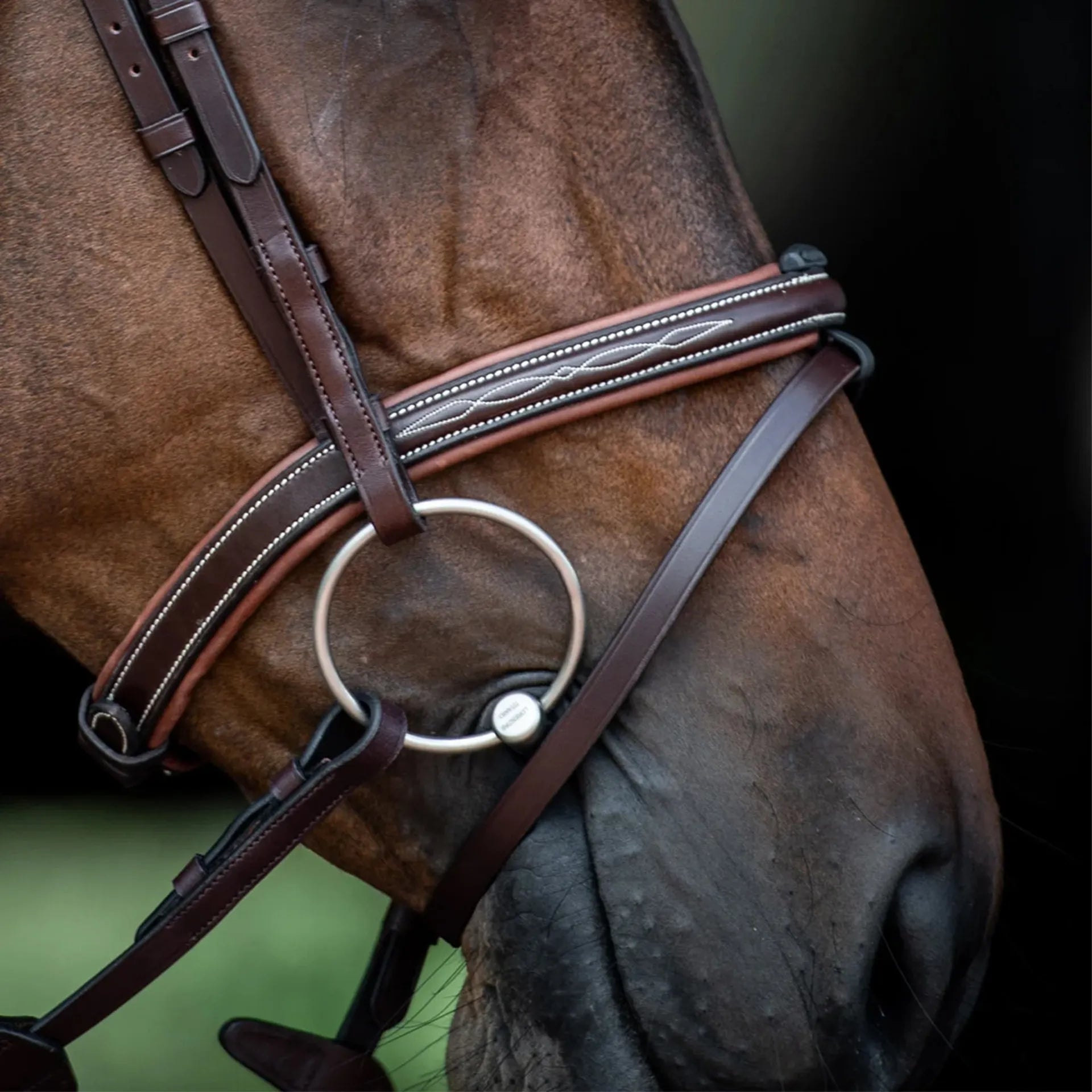 Boomerang Equestrian - Equiline Convex Noseband With Fancy Stitching Brown NB0449