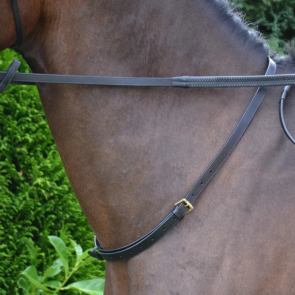 Close-up of a horse's neck wearing a neckstrap with a green background