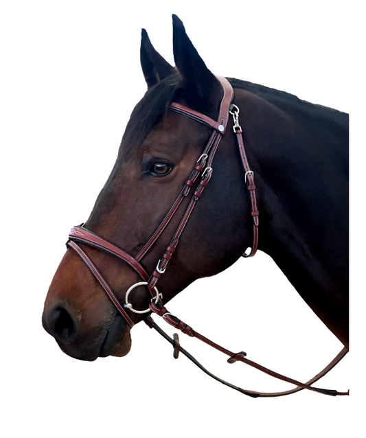Boomerang Equestrian - Privilege Equitation Flags & Cups New York Bridle Brown