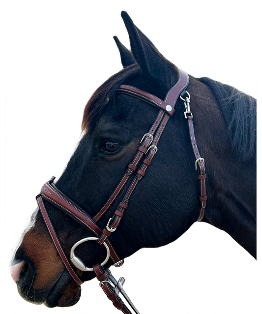 Boomerang Equestrian - Privilege Equitation Flags & Cups New York Bridle Brown