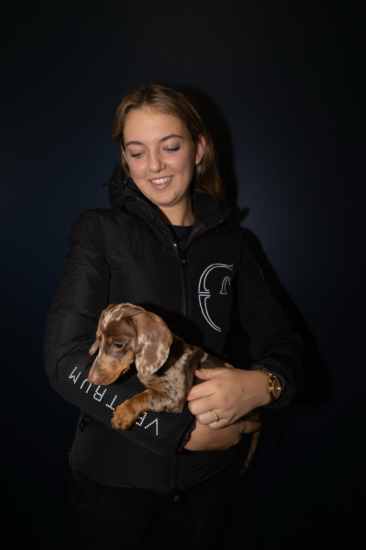 Person holding a small dog against a black background