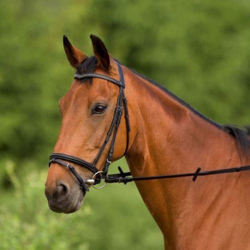 Norton Bridle with Sparkly Browband Havana - Bridle