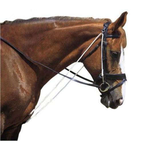 Boomerang Equestrian - Norton Chambon With Pulleys